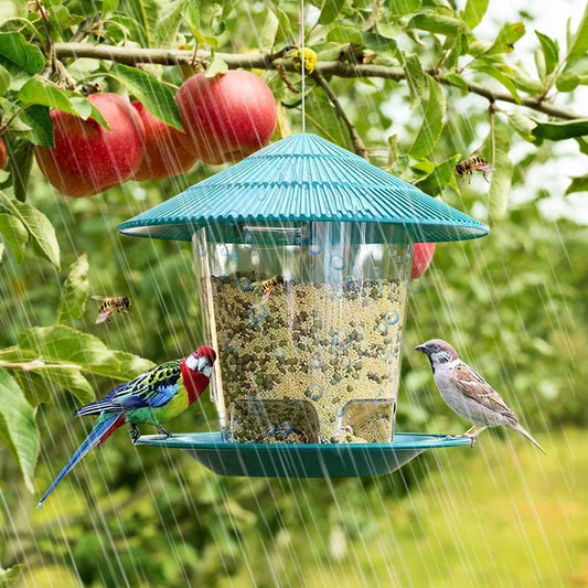 Hanging Bird Feeder with Automatic Seed