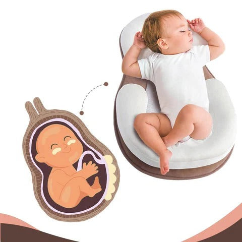 Infant Support Lounger
