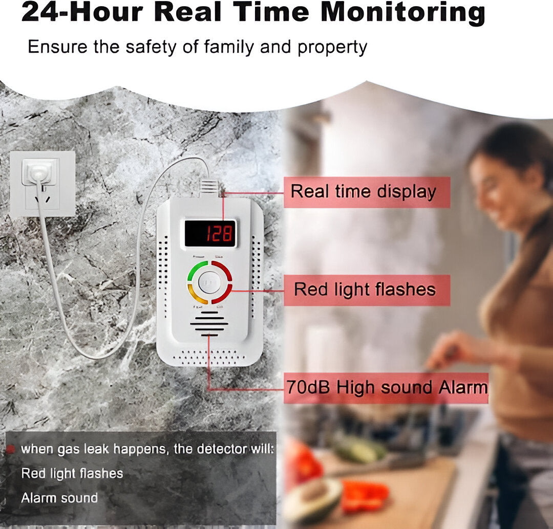 Plug-In Household Gas and CO Detection Unit