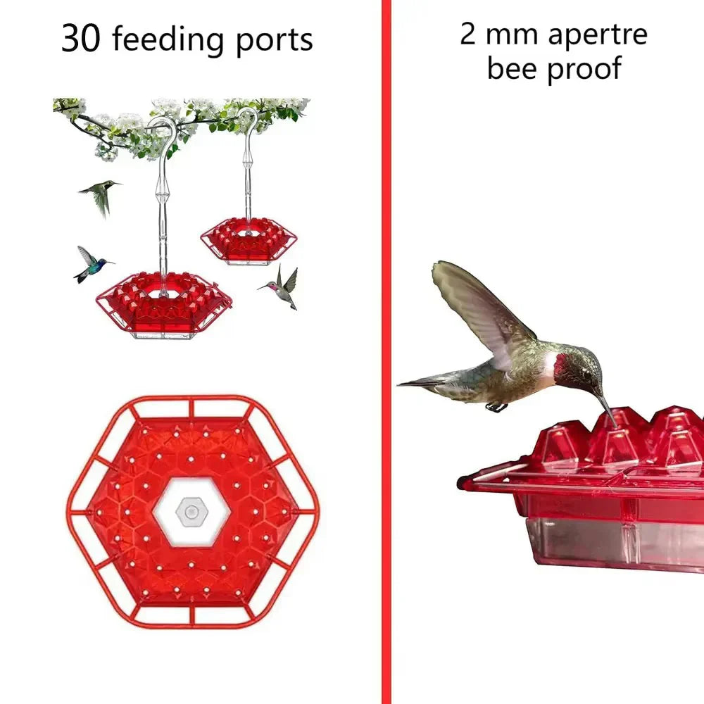 Ant Proof Hummingbird Feeder Outdoor Hanging