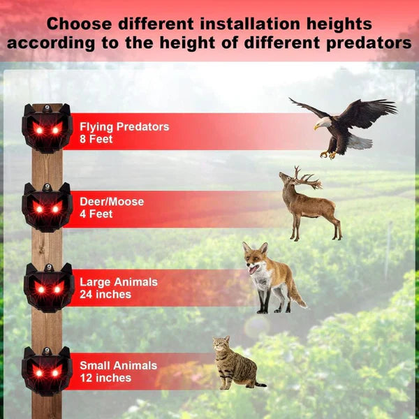 Solar Powered Outdoor Nocturnal Animal Repeller