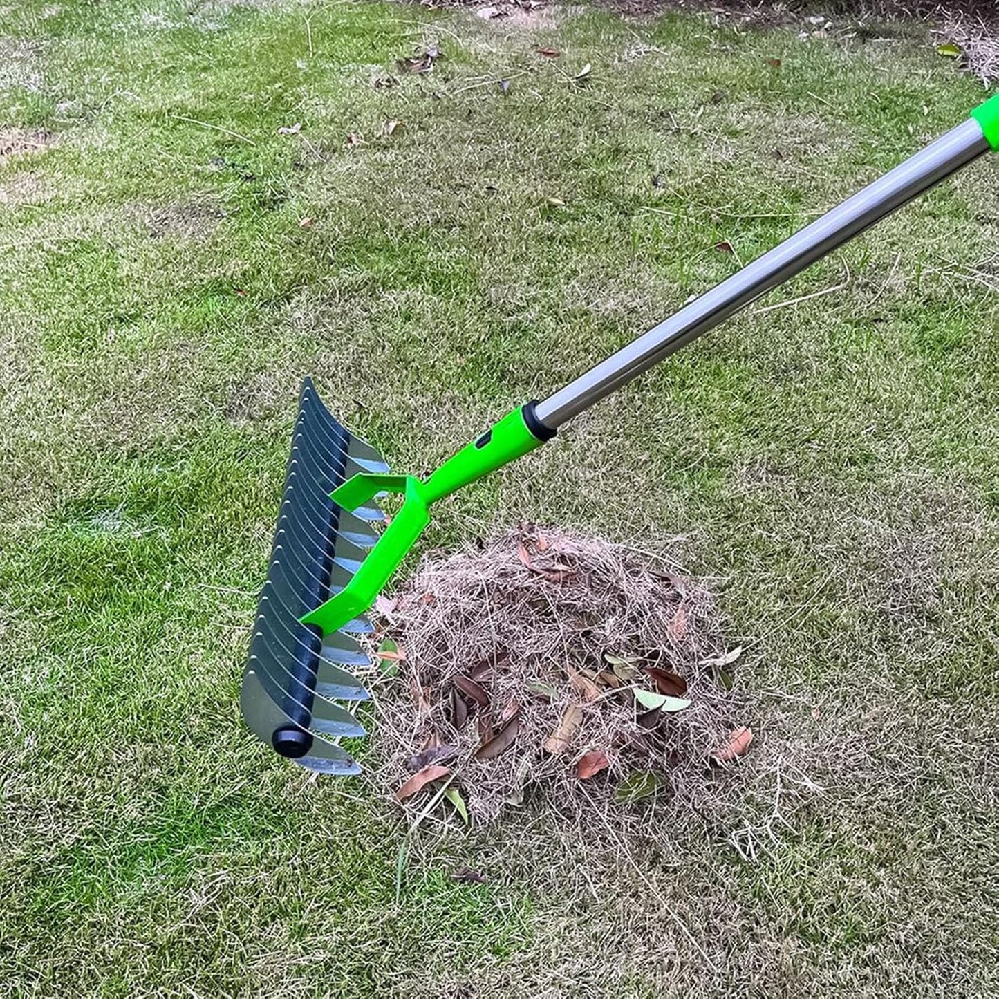 Long Reach Thatch Rake for Dethatching