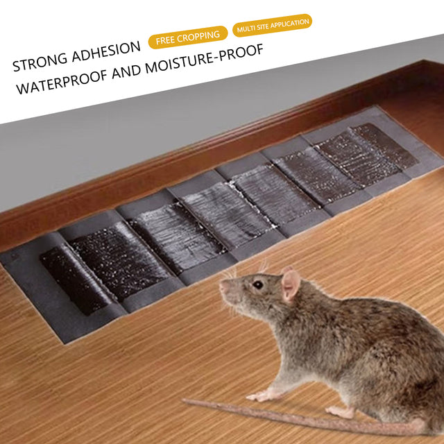 5 Extra-Large Glue Pads For Mice