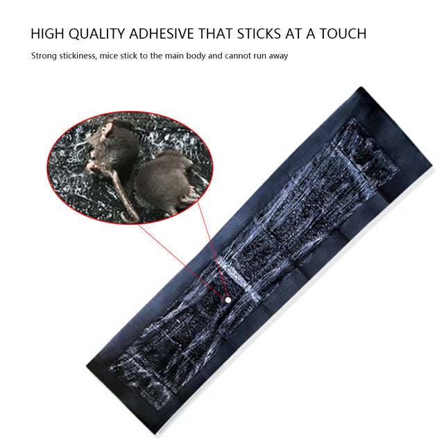 5 Extra-Large Glue Pads For Mice
