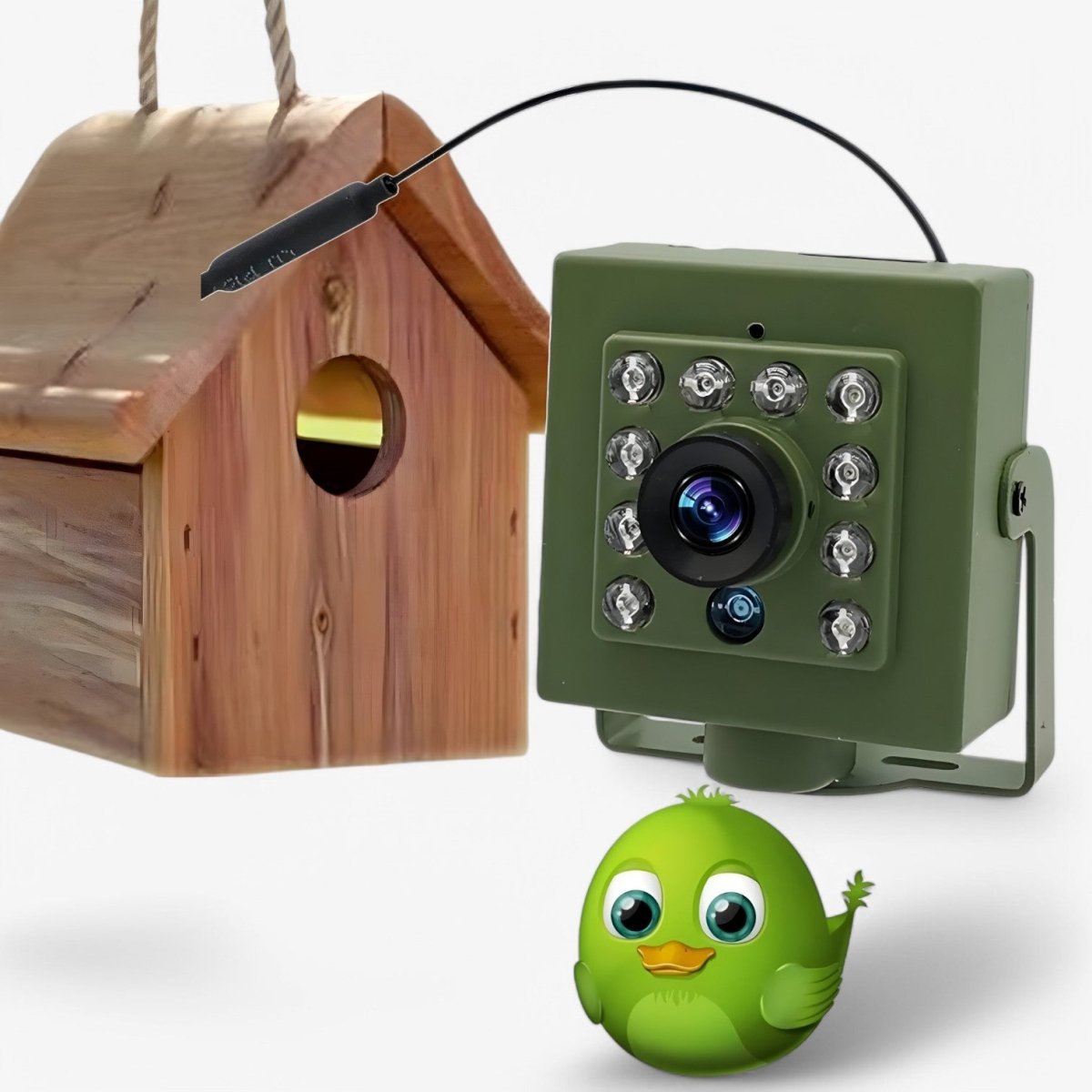 1080p HD weatherproof wildlife camera with