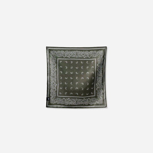 Bandana Towel: Paisley Forest Green