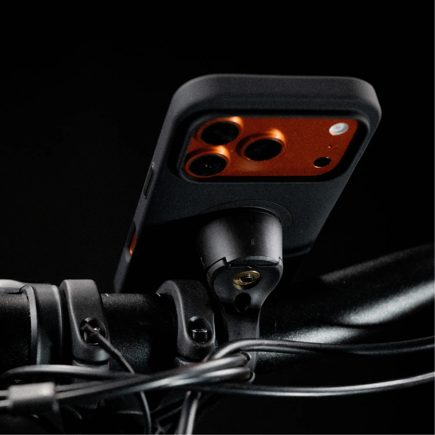 Bike Mount