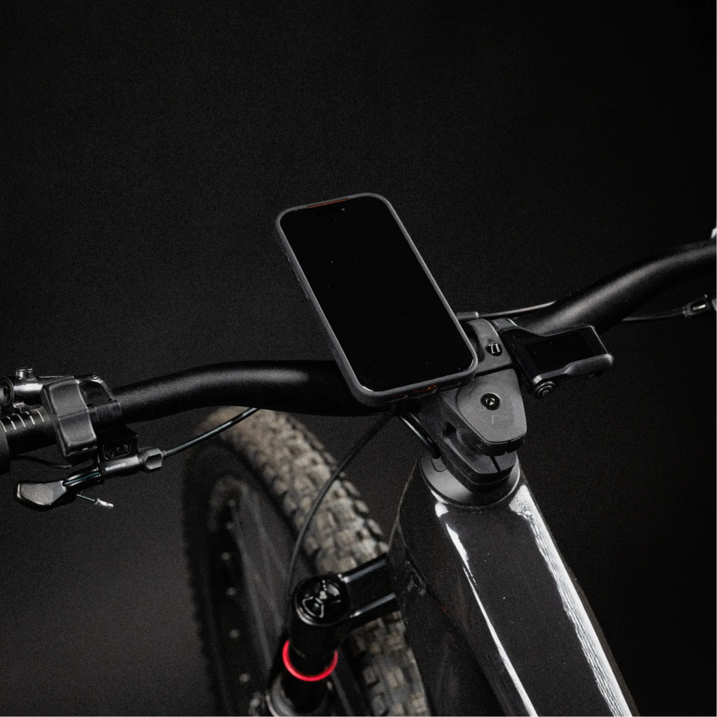 Bike Mount