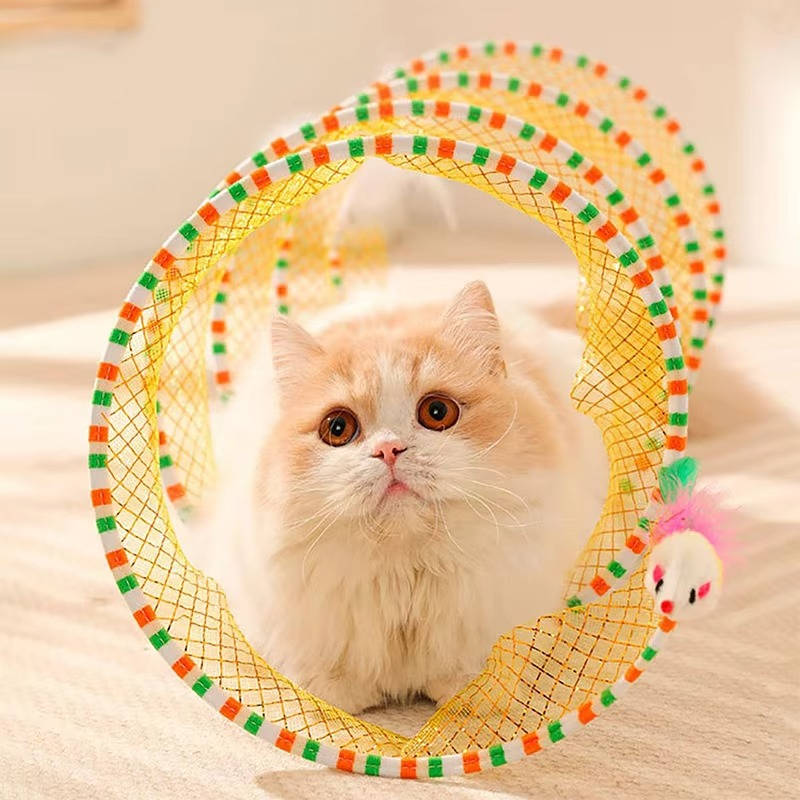 Cat Hunting Toys