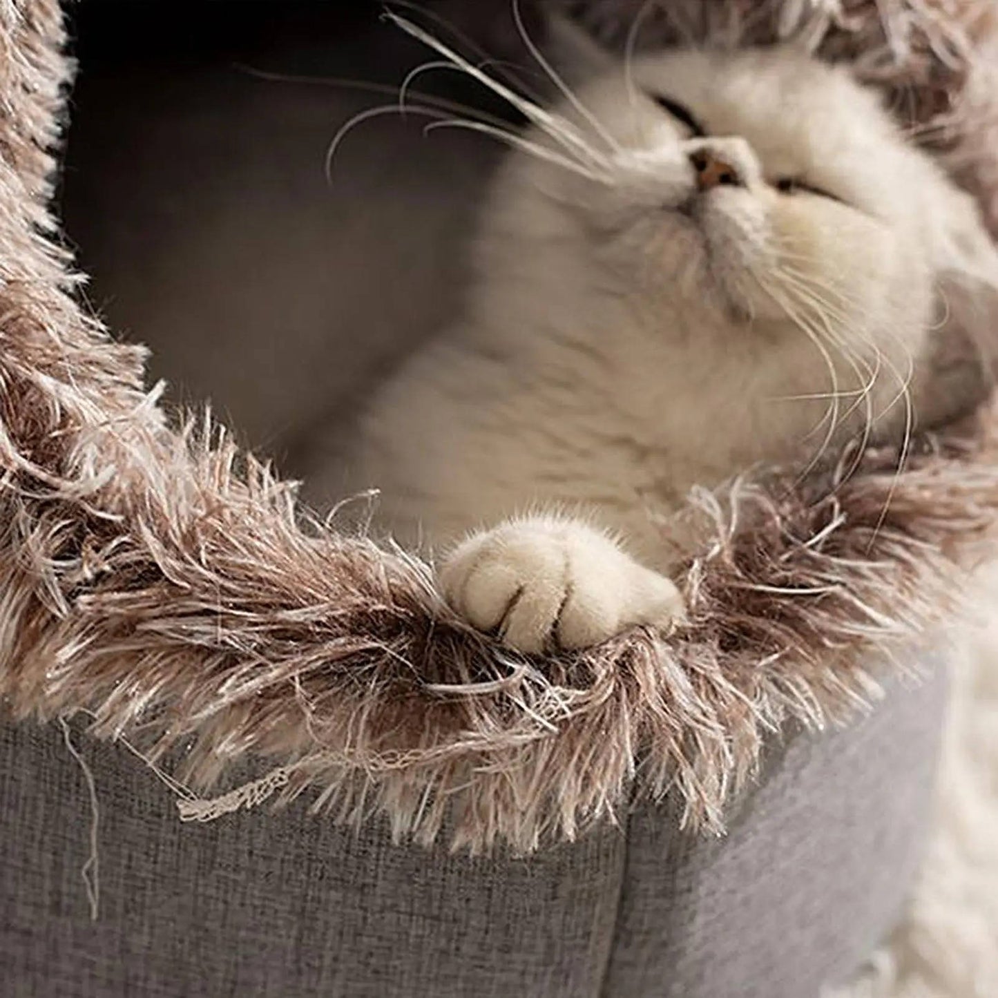 Winter Cat Bed