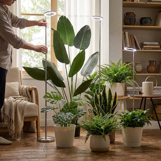 Grow Light Indoor Plants lifestyle