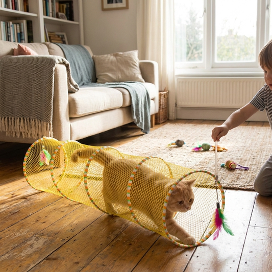 Cat Hunting Toys lifestyle