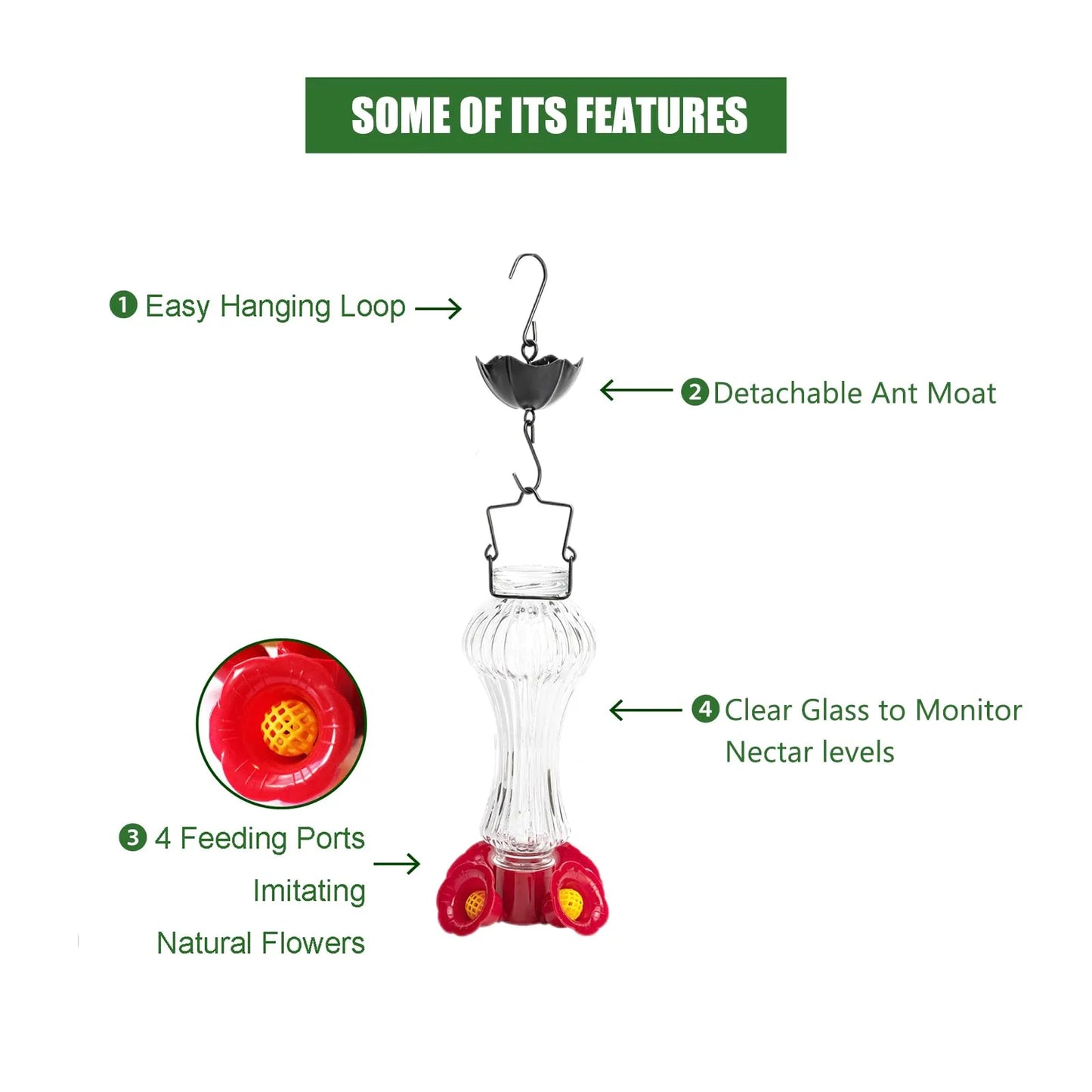 Flowers Glass Hummingbird Feeder With Ant