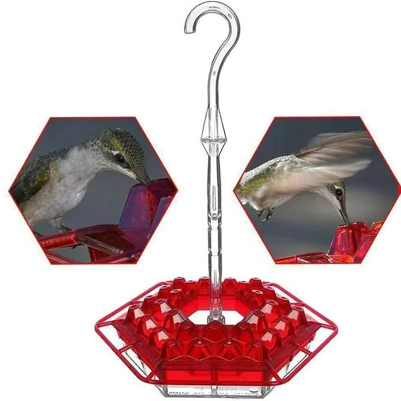 Ant Proof Hummingbird Feeder Outdoor Hanging