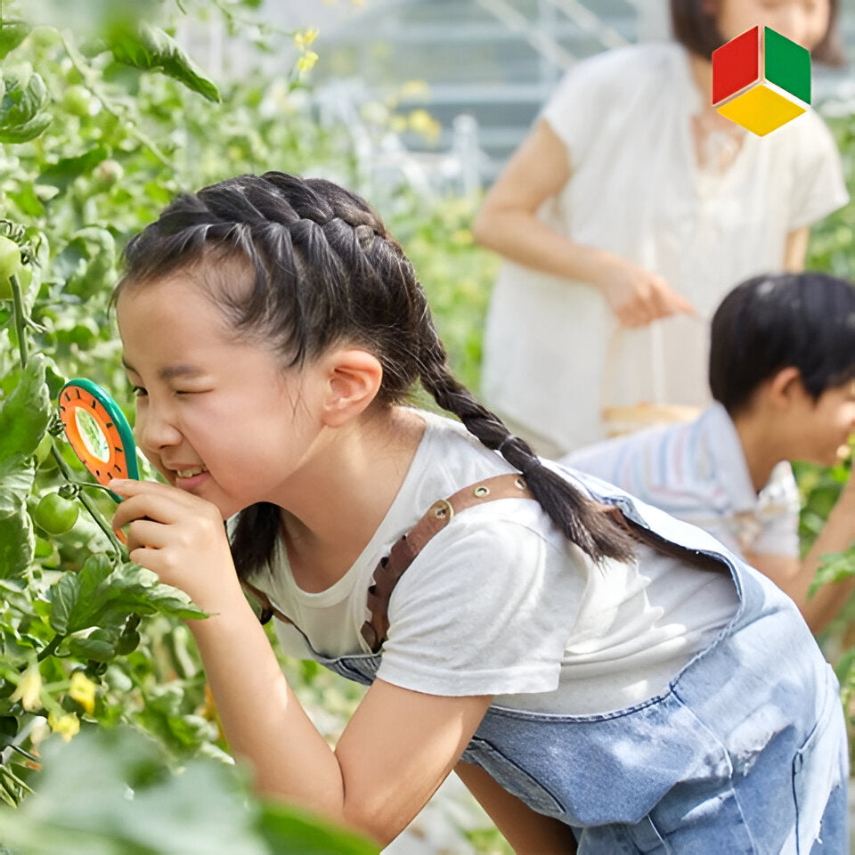 Kids Insect Exploration Kit