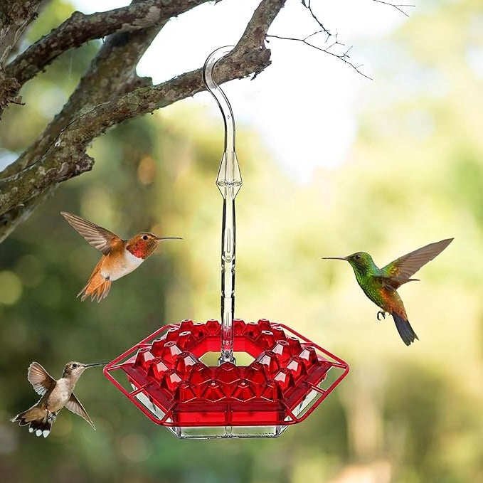 Ant Proof Hummingbird Feeder Outdoor Hanging