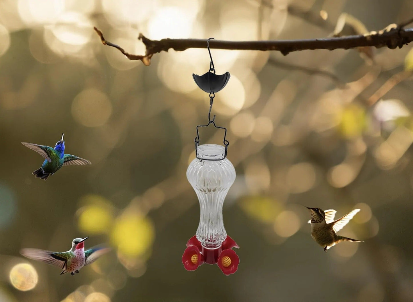 Flowers Glass Hummingbird Feeder With Ant