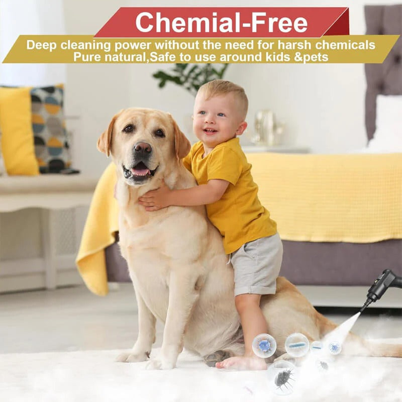 2500W High Pressure Steam Cleaner with