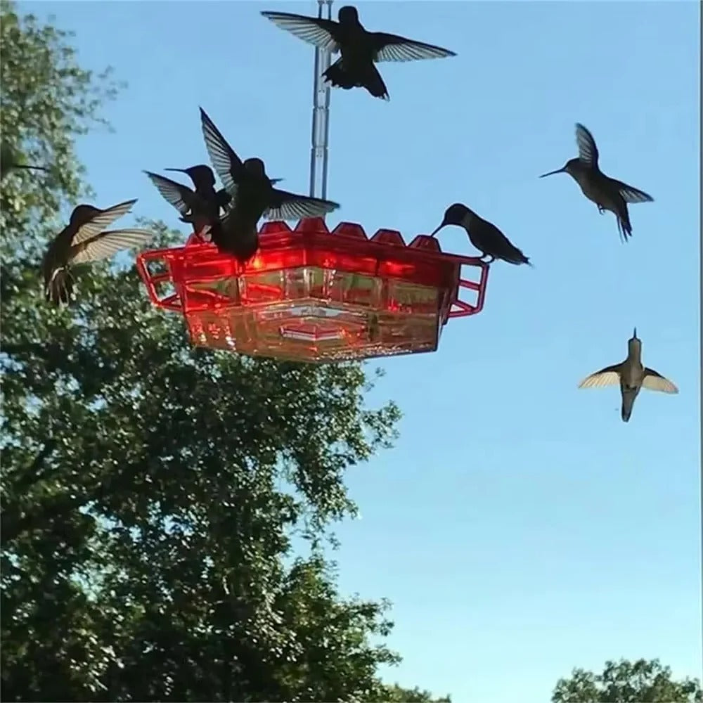 Ant Proof Hummingbird Feeder Outdoor Hanging