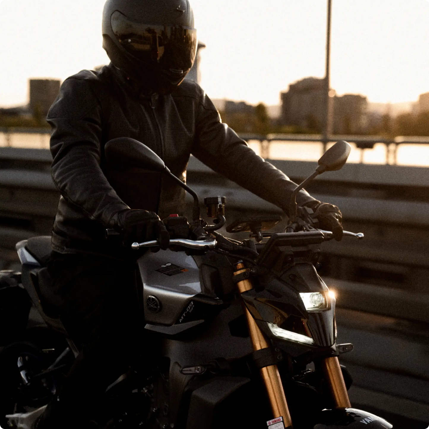 Moto Mount 3D