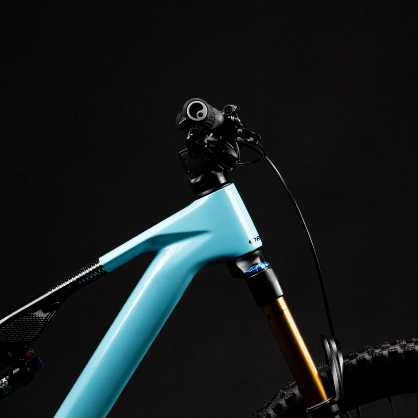 Universal Bike Mount